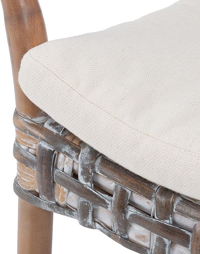 SAFAVIEH Home Collection Collette Grey Rattan Cushion Accent Chair White Washed/White