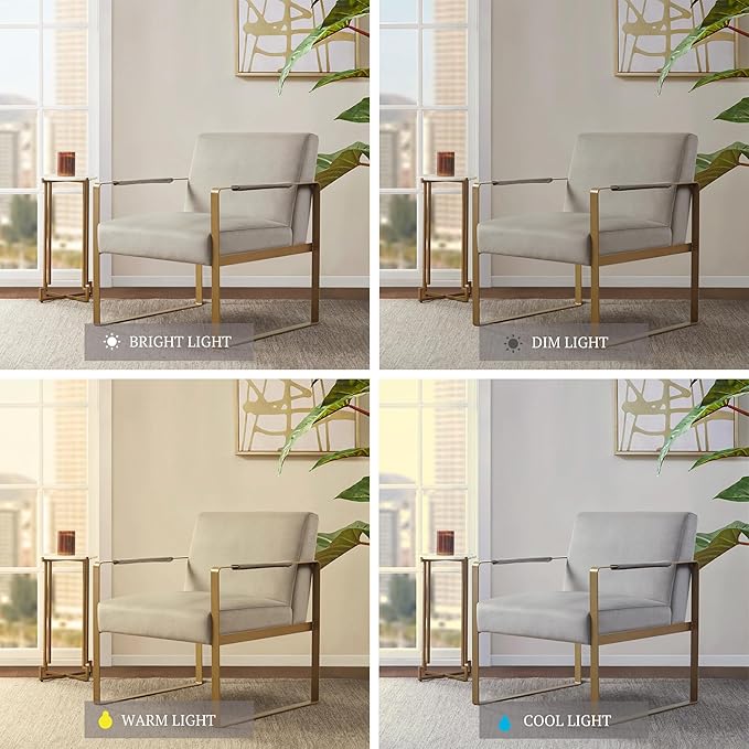 Martha Stewart Upholsterd Accent Chair Living Room Furniture-Modern Design Comfortable Foam Seat Cushion Bedroom Lounge Sophisticated Finished Sturdy Frame 28.5 W x 29 D x 32.5 H Taupe/Gold