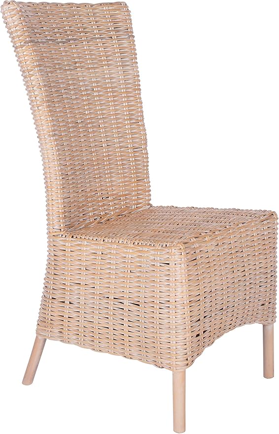SAFAVIEH Home Allen Coastal Natural White Wash Rattan Accent Chair (Set of 2)