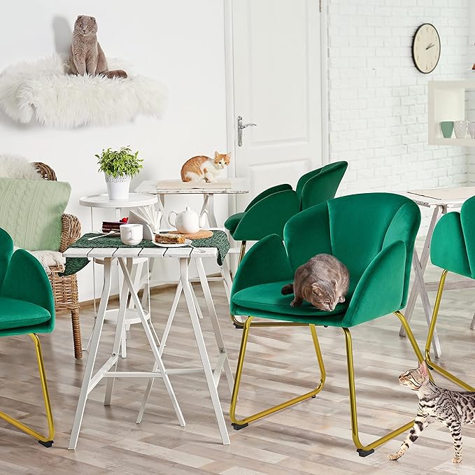 Yaheetech Velvet Living Room Chair Flower Shaped Armchair with Golden Legs Upholstered Side Chair for Vanity Room Living Room Kitchen Green