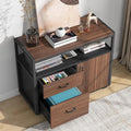Tribesigns Modern File Cabinet with Drawers for Letter-Sized File and Door Lockable lateral Filing Cabinet Printer Stand with Storage Shelves and with Rolling Caster for Home Office (Dark Walnut)