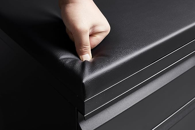 Mobile File Cabinet 2-Drawer Pedestal with Lock for Storage Use for Home Office and Business EnterpriseLegal/Letter Size Blackwith 5 Wheelswith Leather Cushion