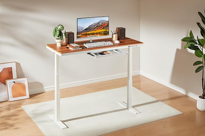 KINGSMITH 55x24 Inches Whole Piece Electric Standing Desk with Drawer Height Adjustable Stand up Desk for Home Office Ergonomic Sit to Stand Desk Computer Workstation Light Red