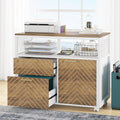 Tribesigns Modern File Cabinet with Drawers for Letter-Sized File and Door lateral Filing Cabinet Printer Stand with Storage Shelves and with Rolling Caster for Home Office