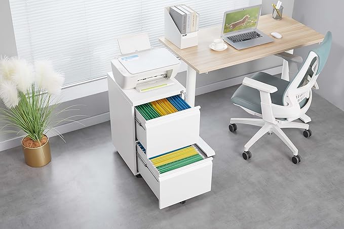 2 Drawer Mobile File Cabinet Office Storage Cabinet with Lock Wheels Metal Vertical File Cabinet for Under The Desk Home Office for Letters/Legal/A4 (White)