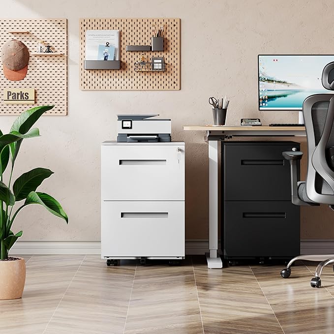 DEVAISE 2-Drawer Metal File Cabinet with Lock Mobile Filing Cabinet Under Desk for Home Office Fully Assembled Printer Stand fits F4/A4/Letter/Legal Size White 20 D x 15 W x 27 H