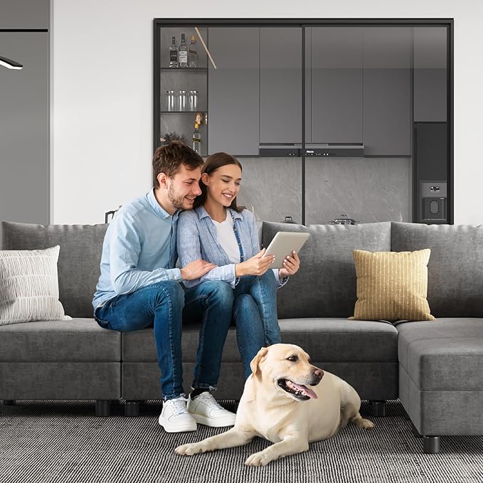Apicizon Modular Sectional Sofa Armrest Backrest Module Couch Side Sectional Part Armrest/Backrest with USB Charging Ports Light Gray