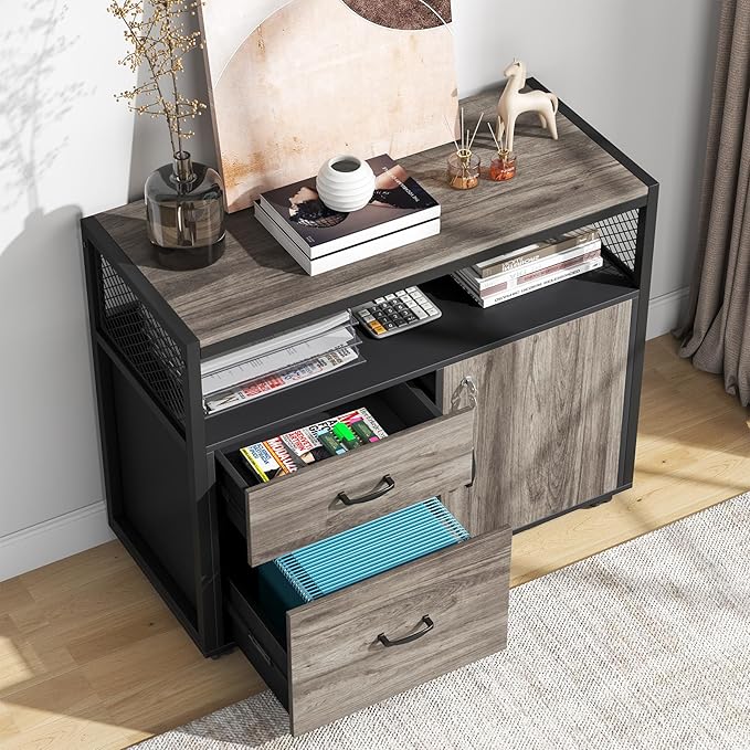 Tribesigns Modern File Cabinet with Drawers for Letter-Sized File and Door Lockable lateral Filing Cabinet Printer Stand with Storage Shelves and with Rolling Caster for Home Office (Gray)