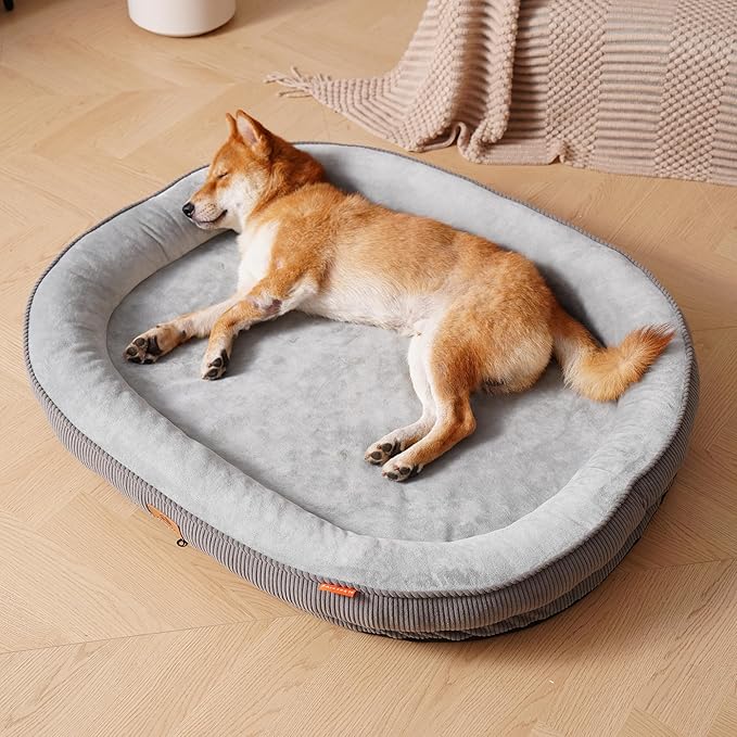 Sofa Couch Bed for Your Furry Family Member