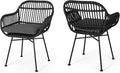 Christopher Knight Home Rodney Indoor Woven Faux Rattan Chairs with Cushions (Set of 2) Dark Gray Finish