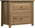 Lateral 2 Drawer Small File Cabinet with Lock Under Desk Locking Storage Drawers Organizer for Home Farmhouse Office Filing CabinetsBrown