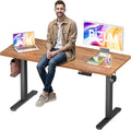 BIZUM Electric Standing Desk 55x24 inches Height Adjustable Desk Sit to Stand Desks Memory Gaming Computer Workstation for Home Office Light Rustic Brown