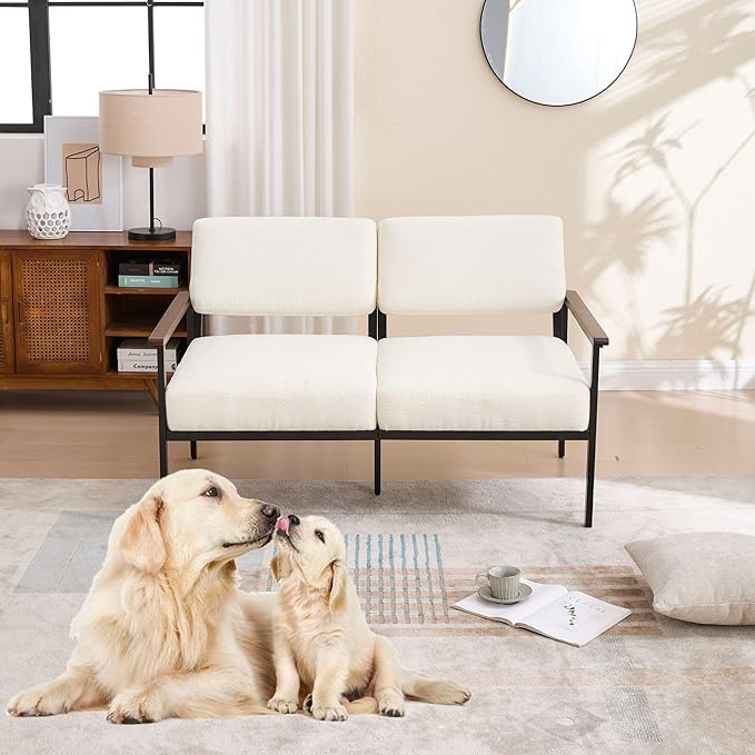 Wahson White Chenille Loveseat Couches 52 Inch Modern Comfy Upholstered Sofa with 2-Seat Small Sofa Couch Lounge Chair Mini Teen Couch for Living Room/Bedroom/Small Spaces/Office