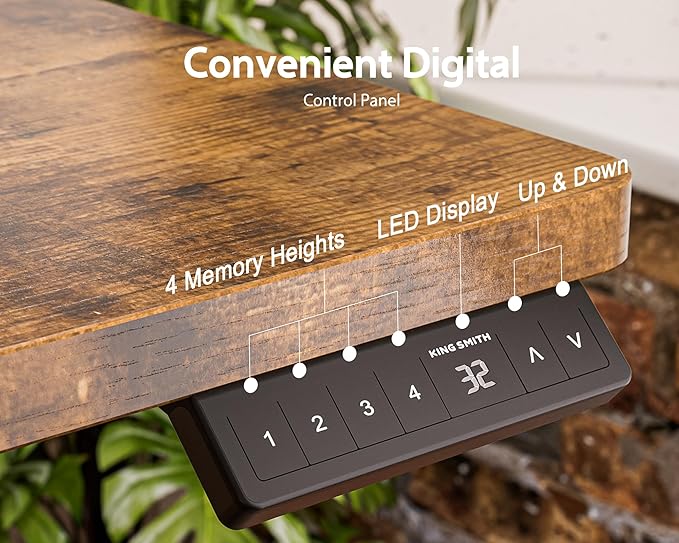 63x24 Inches Electric Standing Desk with Drawer and Monitor Stand Height Adjustable Sit to Stand up Desk for Home Office Ergonomic Computer Table with Phone Holder 3 Hooks Oak