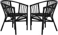 Safavieh Home Adriana Coastal Black Rattan (Set of 2) Accent Chair (ACH6505A-SET2)