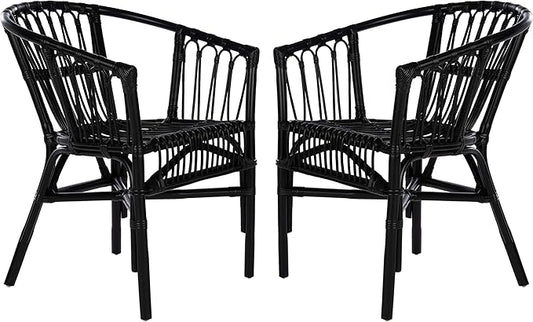 Safavieh Home Adriana Coastal Black Rattan (Set of 2) Accent Chair (ACH6505A-SET2)