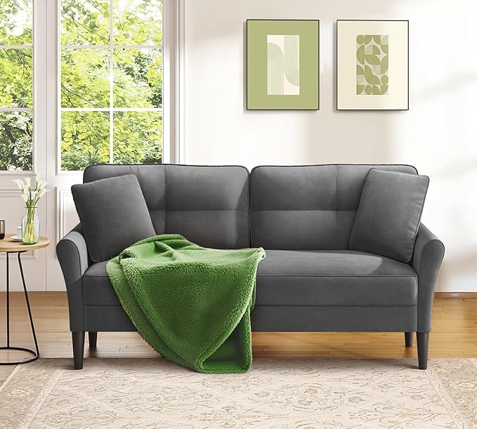 Loveseat Sofa 69 Love Seat Couches Comfy Velvet Small Sofa Couch for Bedroom with 2 Pillows Tool-Free Setup Sofas &amp Couches 700lb Load Sofas for Living Room Mini Couch for Bedroom Grey Couc
