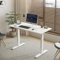 Anwick 2026 New 55 Electric Standing Desk Office Table &amp Sit Stand Up with Adjustable Height Rising Desks for Home Office USB LED 4 Programmable Memory Buttons (White)