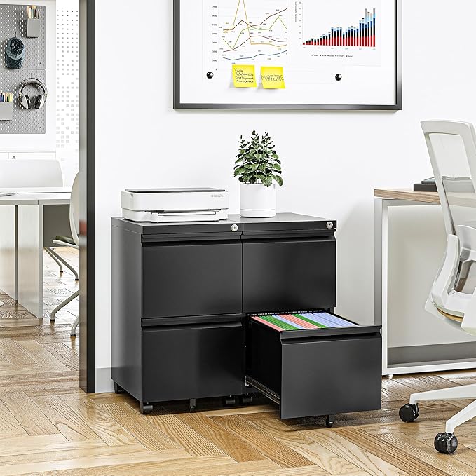 Mobile File Cabinet with Lock - 2 Drawer Small Rolling Cabinet for Home Office Legal/Letter/A4 (Black)