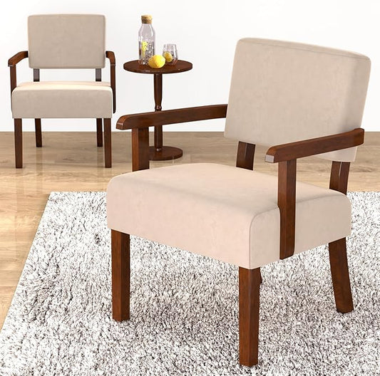 Accent Chair Cat-Scratch Velvet Living Room Chairs Oversize with Soft Seat and Armrests for Dinning Room Bedroom Reading Room Waiting Room