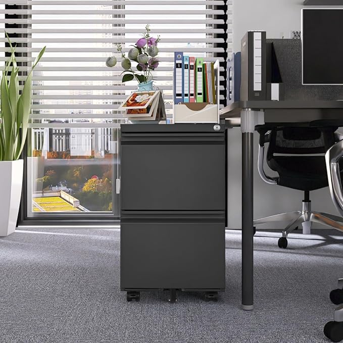 Hassyee Office Storage Cabinet 2 Drawers File Cabinet with Lock Metal Vertical File Cabient with Wheels Mobile File Cabinet for Office Home Legal/Letter/a4 Size (2 Drawer Black)