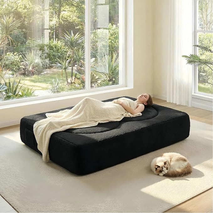 79 Convertible Folding Sofa Bed 2-in-1 Twin Size Loveseat Sleeper Couch with Two Pillows &amp Side Storage PocketsSpace-Saving | Design for Apartments &amp Living Room No Assembly(Black)