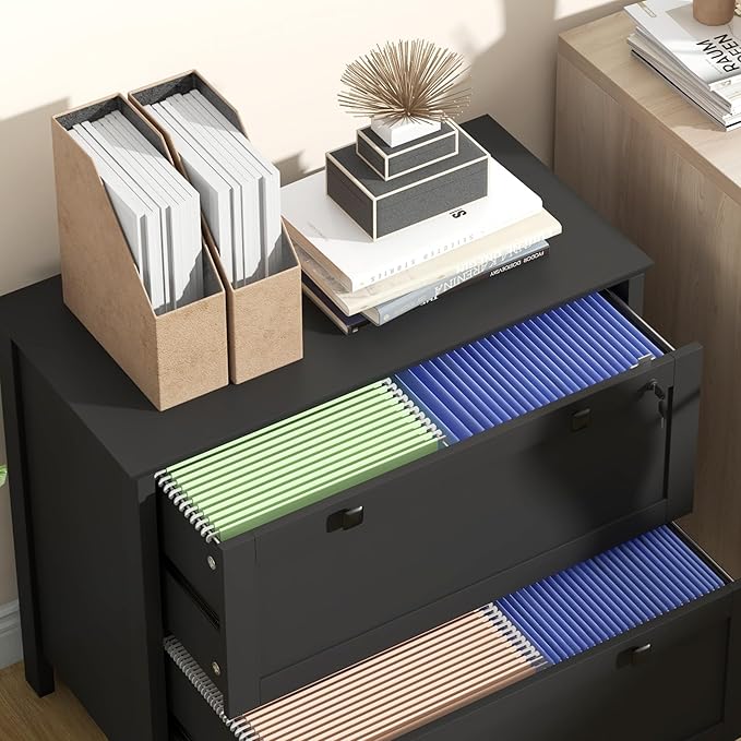 2 Drawer Small File Cabinet with Lock Under Desk Locking Storage Drawers Organizer Filing Cabinets for Home OfficeModern Farmhouse FurnitureBlack