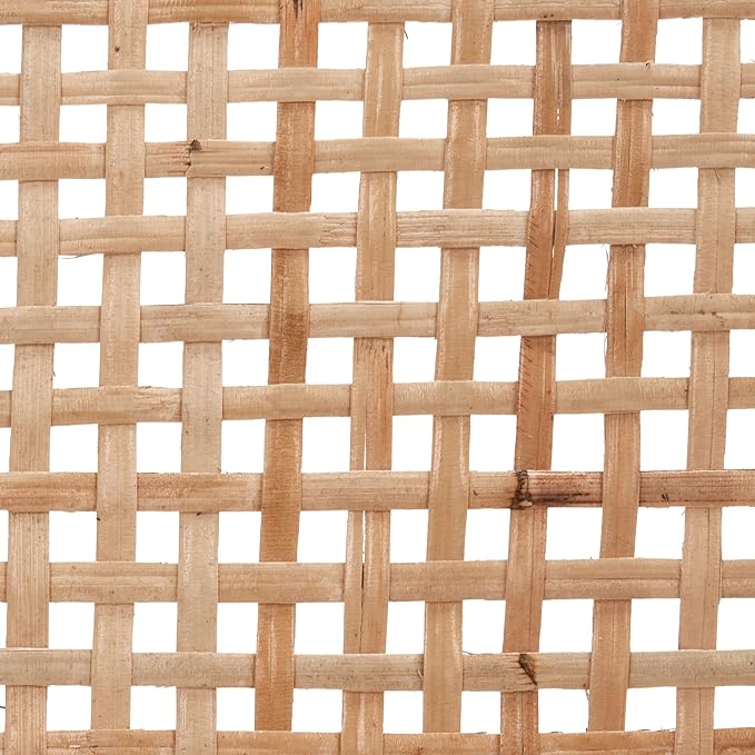 SAFAVIEH Home Collection Sijo Natural Teak Wood/Natural Rattan Accent Chair (Fully Assembled)