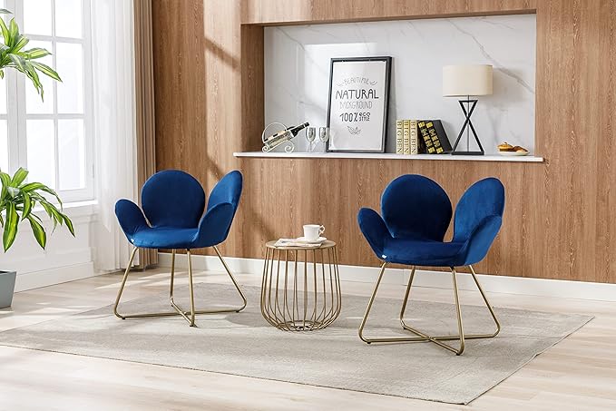 Modern Velvet Accent Chair Comfy Cute Upholstered Vanity Desk Chair w/Metal Legs Soft CushionArmchair for Living Room 2PC/Set