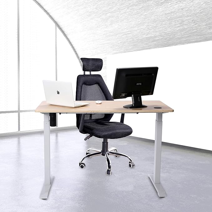 UNICOO Electric Height Adjustable Standing Desk Electric Standing Workstation Sit Stand Home Office Desk Gaming Table Whole-Piece Desktop Board 48 * 24 in (KT1001-LW)