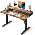 Electric Standing Desk with 2 Drawers 48 x 24 Adjustable Height Computer Desk Ergonomic Sit Stand Desk for Home Office (Rustic)