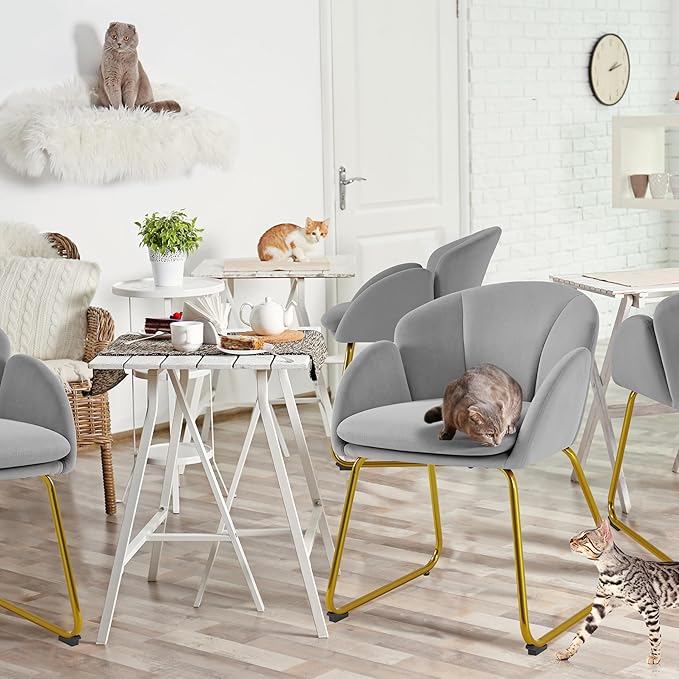 Yaheetech Velvet Dining Chair Flower Shaped Armchair with Golden Legs Upholstered Side Chair for Kitchen Dining Room Living Room Set of 2 Gray