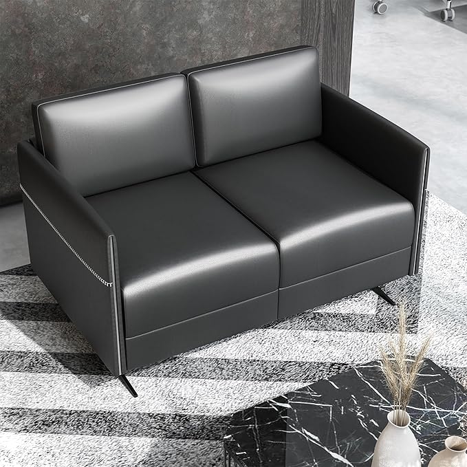 Accent Chair Loveseat Couch Sofa Upholstered Faux Leather Ergonomic Lumbar Support Cubic Waiting Room Reception Chair Modern Simplistic for Living Room Hotel Lobby Office Salon(Chrome Black Dual)
