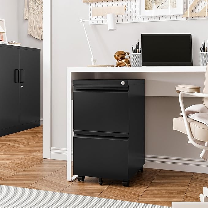 Mobile File Cabinet with Lock - 2 Drawer Small Rolling Cabinet for Home Office Legal/Letter/A4 (Black)