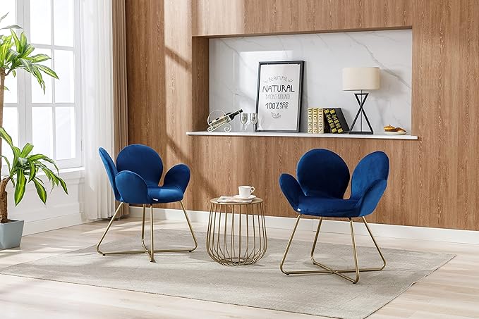 Modern Velvet Accent Chair Comfy Cute Upholstered Vanity Desk Chair wMetal Legs Soft CushionArmchair for Living Room 2PCSet