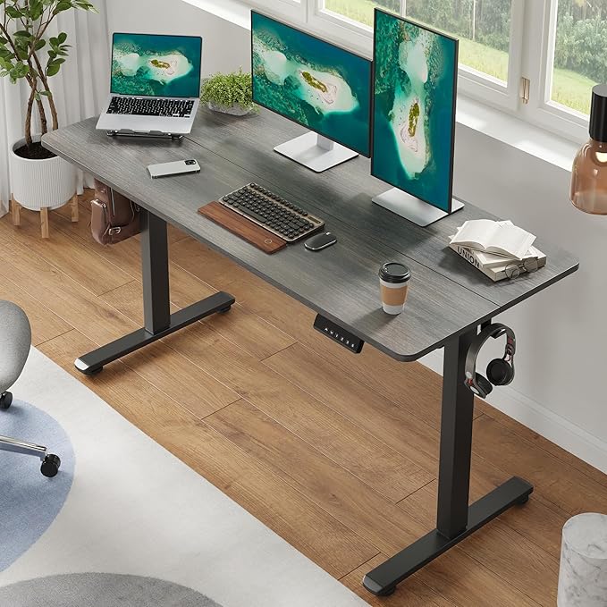 Casaphoria 55 x 24 inches Electric Standing Desk Sit to Stand Desk with Memory Height Adjustment Home Office Computer Desk for Writing and Games Grey