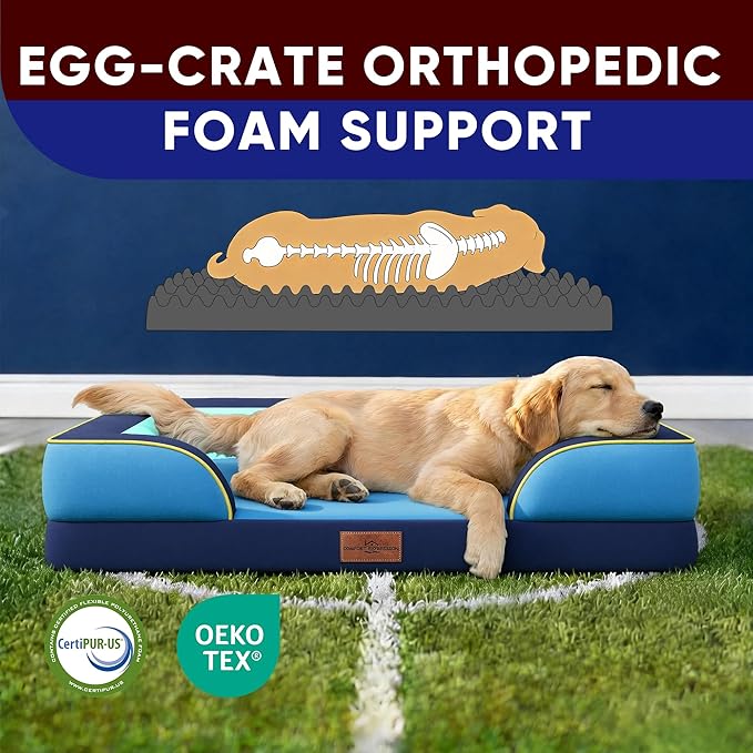 Comfort Expression Orthopedic Dog Bed for Large Dogs 36x27 Inch Waterproof Egg Crate Foam Large Pet Bed with Removable Bolsters Dog Couch with Washable Cover &amp Non-Slip Bottom New Jersey