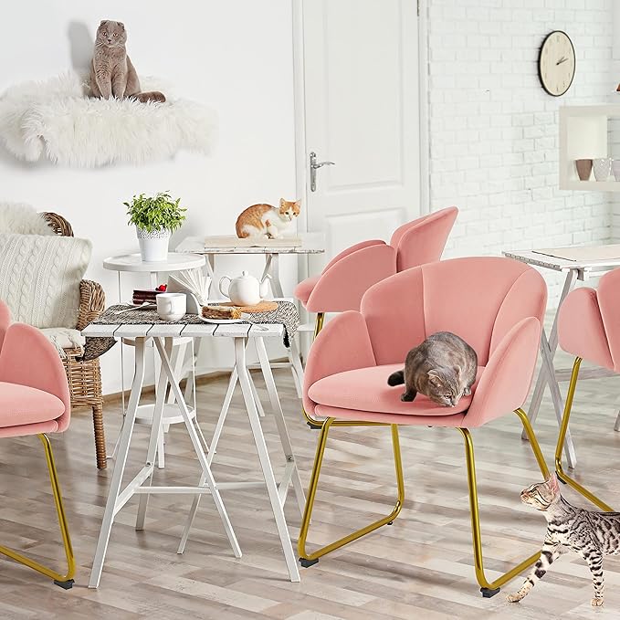 Yaheetech Velvet Living Room Chair Flower Shaped Armchair with Golden Legs Upholstered Side Chair for Vanity Room Living Room Kitchen Set of 2 Pink