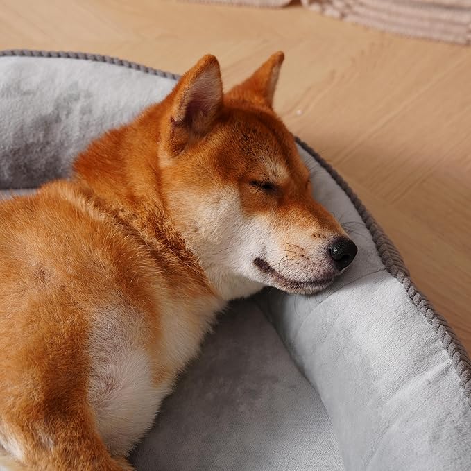 Sofa Couch Bed for Your Furry Family Member