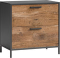 Farmhouse 2 Drawer Small File Cabinet with Lock Modern Under Desk Locking Storage DrawersOrganizer for Home Office Filing Cabinets FurnitureBrown