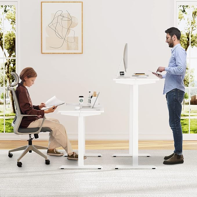 Shintenchi Electric Standing Desk 48 x 24 Inch Height Adjustable Sit Stand Desk Morder Home Office Stand Up Desk Computer Work Station with Splice Board (White Frame + White Top)