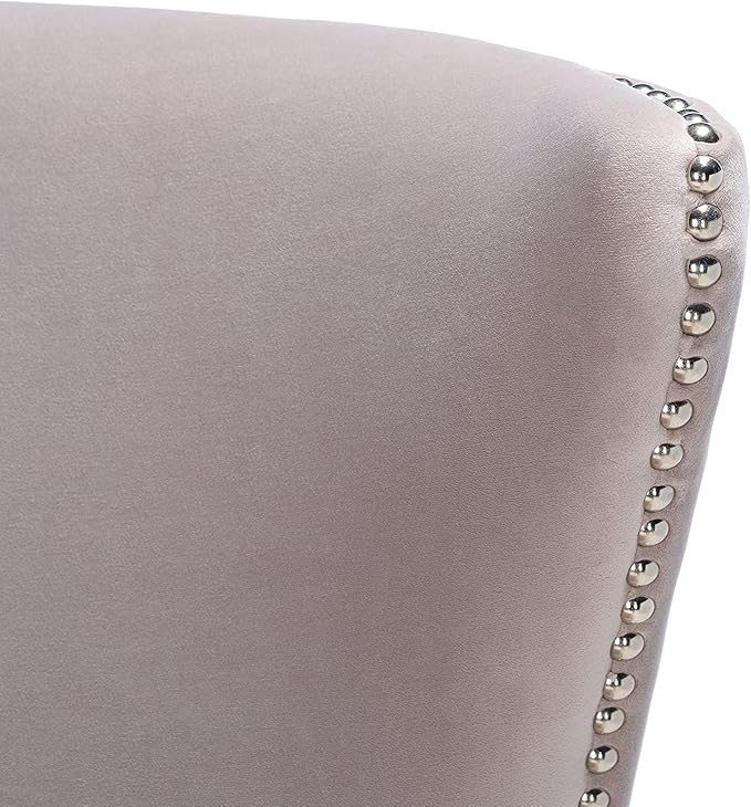 SAFAVIEH Couture Home Collection Geode Pale Taupe Velvet/Clear Acrylic Legs Nailhead Trim Wingback Chair