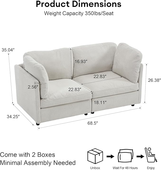 Modern Loveseat Sofa 68.5 inches Living Room Couch White Chenille Fabric 350 lbs Weight Capacity