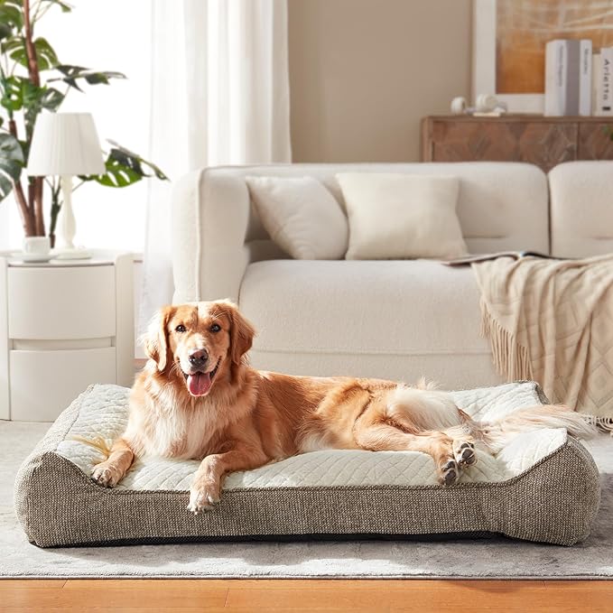 JOEJOY Orthopedic Dog Bed Medium Sized Dogs Extra Thick Supportive Big Dog Couch Bed with Sides Ultra Soft Pet Bed Sofa Beige 35''x25''