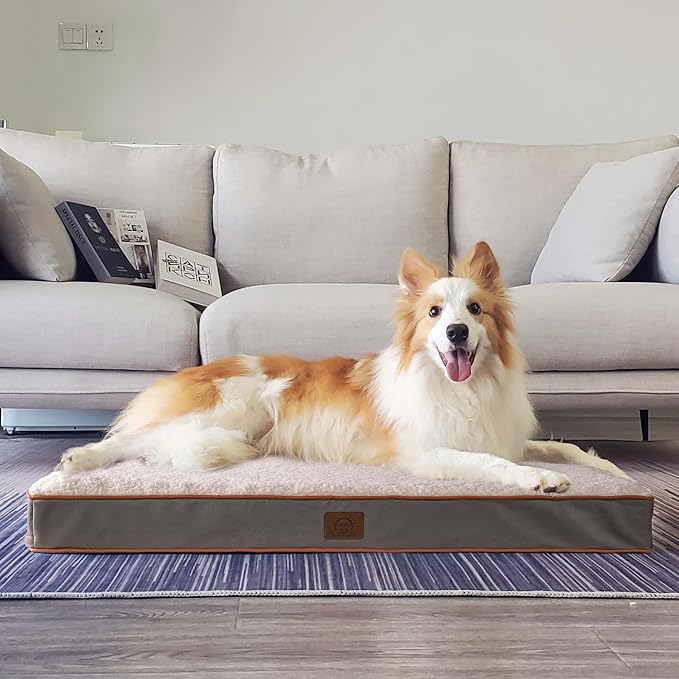 Sunheir Extra Large Dog Bed - Orthopedic Bed with Removable Waterproof Cover Machine Washable Egg Crate Foam XL(41X27X3) Light Grey