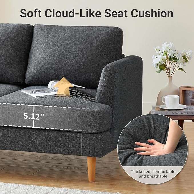 Loveseat Sofa 56 Mid Century Modern Small Couches for Small Spaces Love Seat with 2-Seat Upholstered Cushion Sofa Couches for Bedroom Living Room Apartment (Dark Grey)