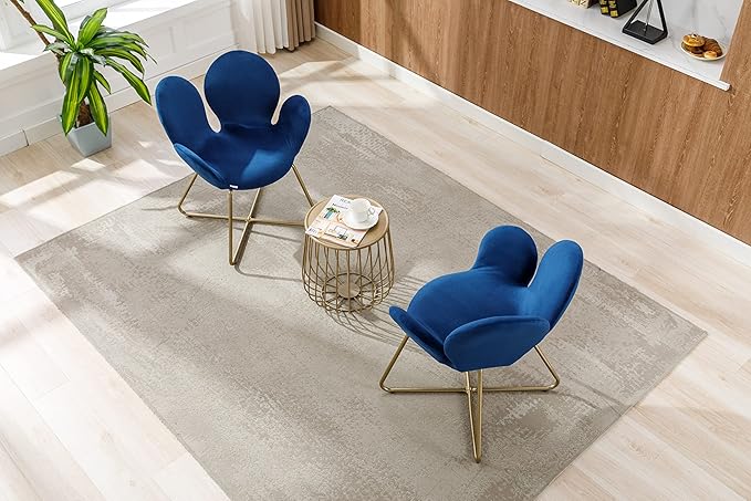 Modern Velvet Accent Chair Comfy Cute Upholstered Vanity Desk Chair wMetal Legs Soft CushionArmchair for Living Room 2PCSet