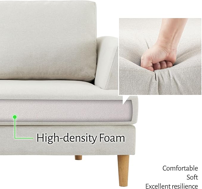 Living&ampGiving 65 W Loveseat Sofa with Extra Deep SeatsLove Seat Couches for Small SpacesMid Century Modern Couch for Apartment2 Seater Couch for Living RoomSmall Sofa for Bedroom