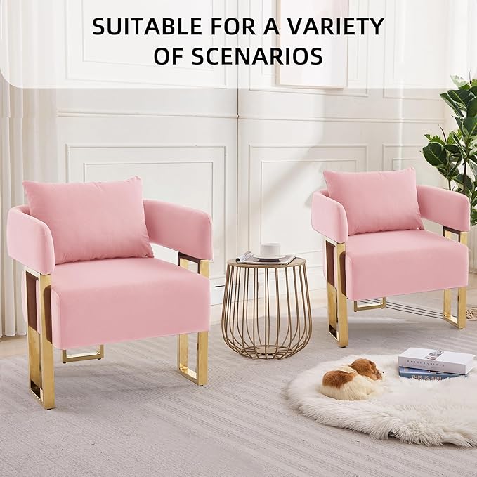 YISHENG Modern Barrel Accent Chairs Set of 2 Living Room Side Chairs with Golden Metal Legs Velvet Upholstered Reading Armchairs no Wheels for Vanity/Reception Room//Bedroom/Lounge/Office Pink