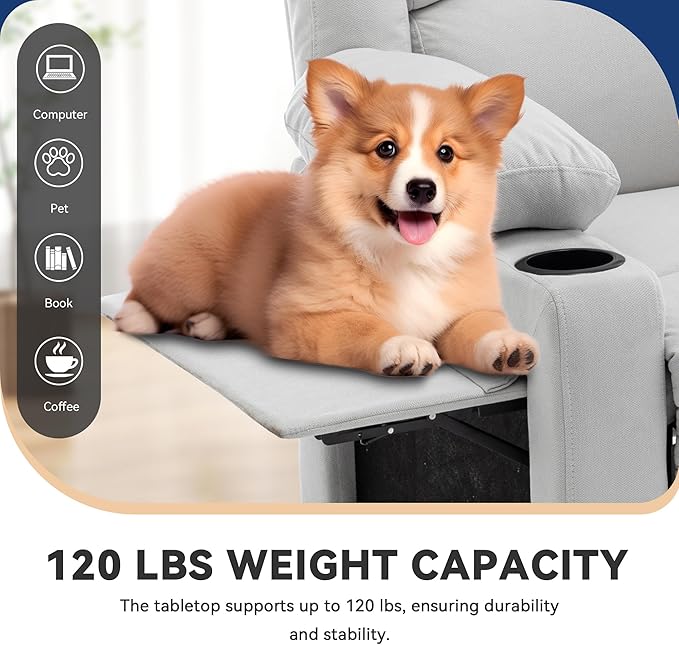 WENTMENT Recliner Chair for Living Room Massage Reading Sofa Adjustable Modern Reclining Chair for Living RoomWhite